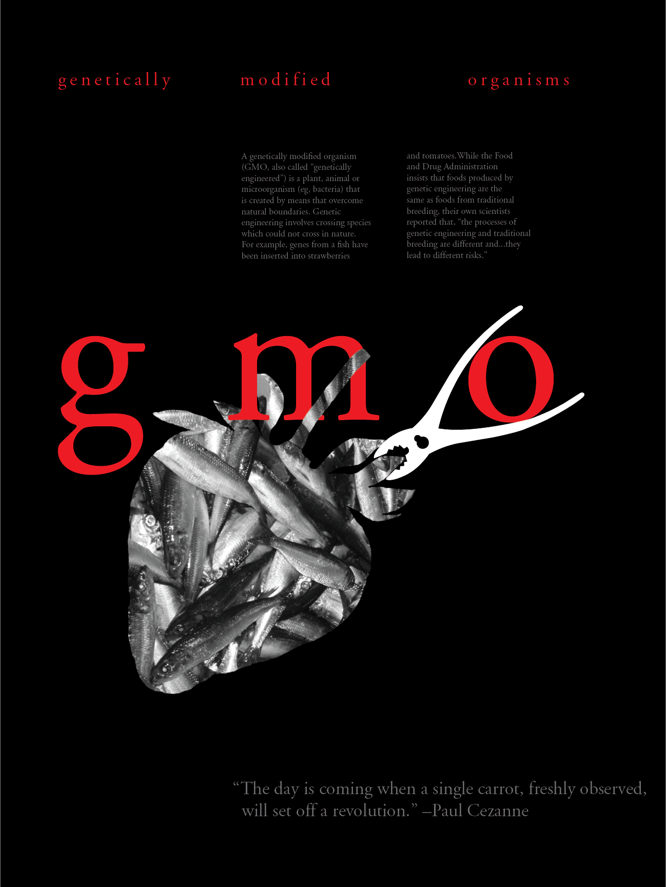 gmo - 18"x24" digital print poster of strawberry fish in black