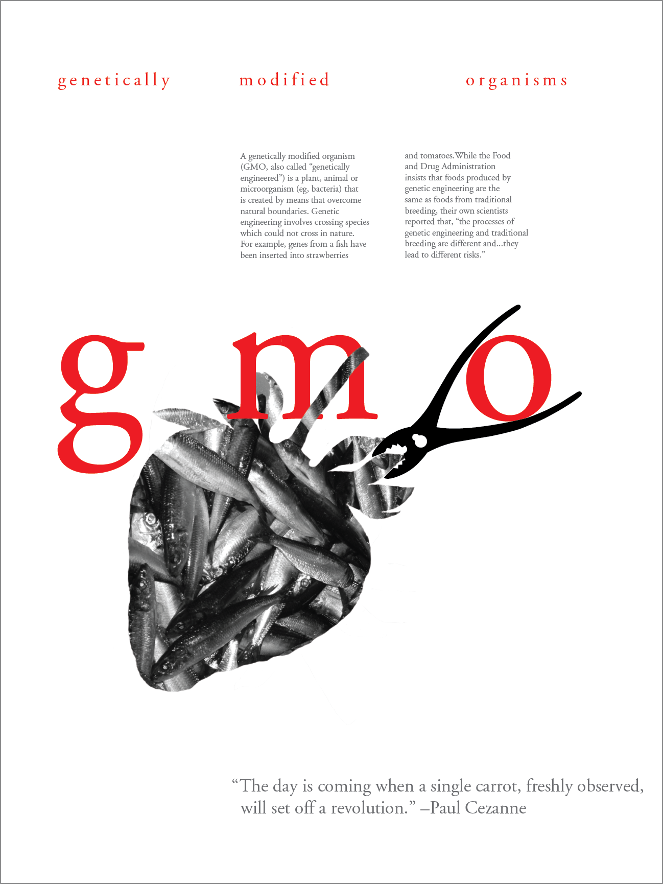 gmo - 18"x24" digital print poster of strawberry fish in white