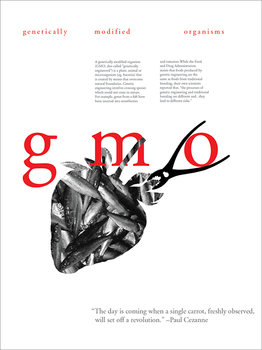 gmo - 18"x24" print poster of strawberry fish in white